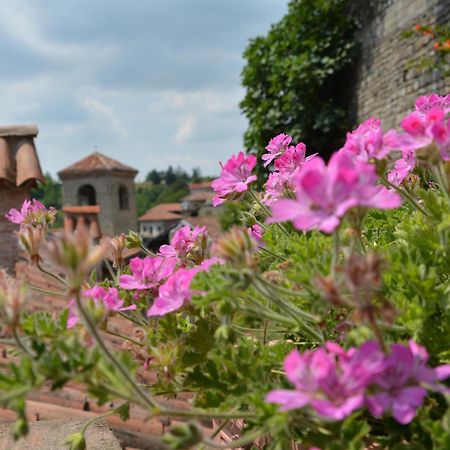 Dimora Storico Romantica Il Sole E La Luna Hostal Cerretto Langhe Exterior foto