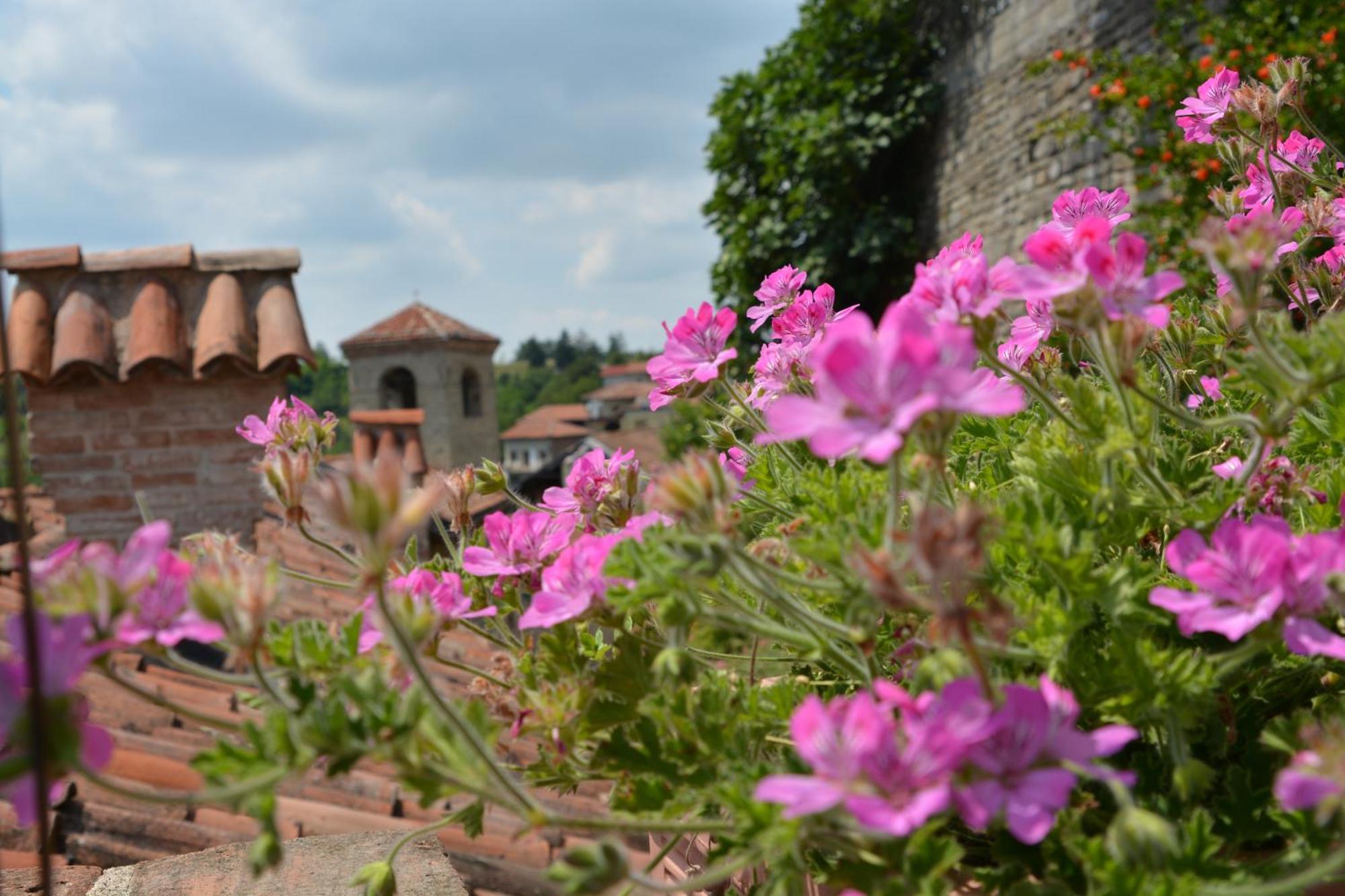 Dimora Storico Romantica Il Sole E La Luna Hostal Cerretto Langhe Exterior foto